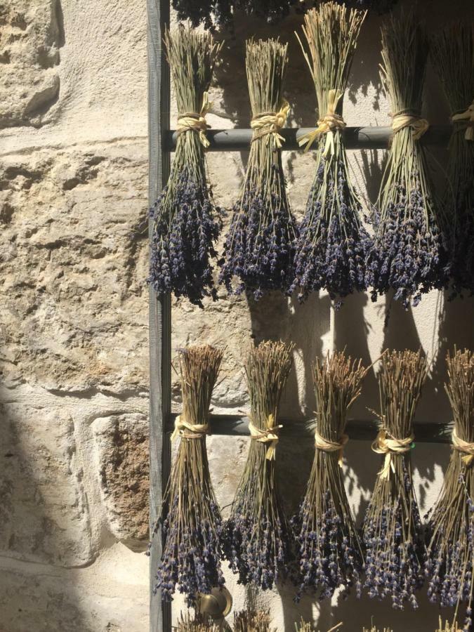 Suite Sur La Sorgue LʼIsle-sur-la-Sorgue Esterno foto